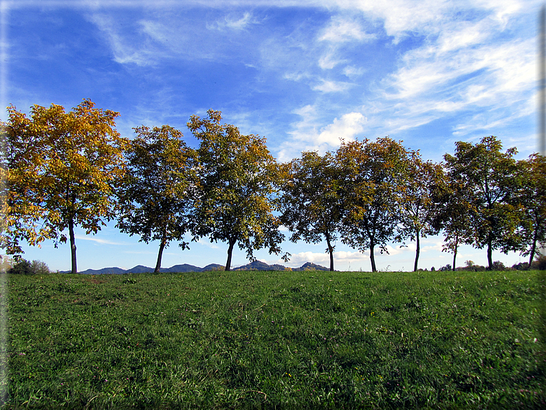 foto Paesaggi Autunnali tra le colline Fontesi